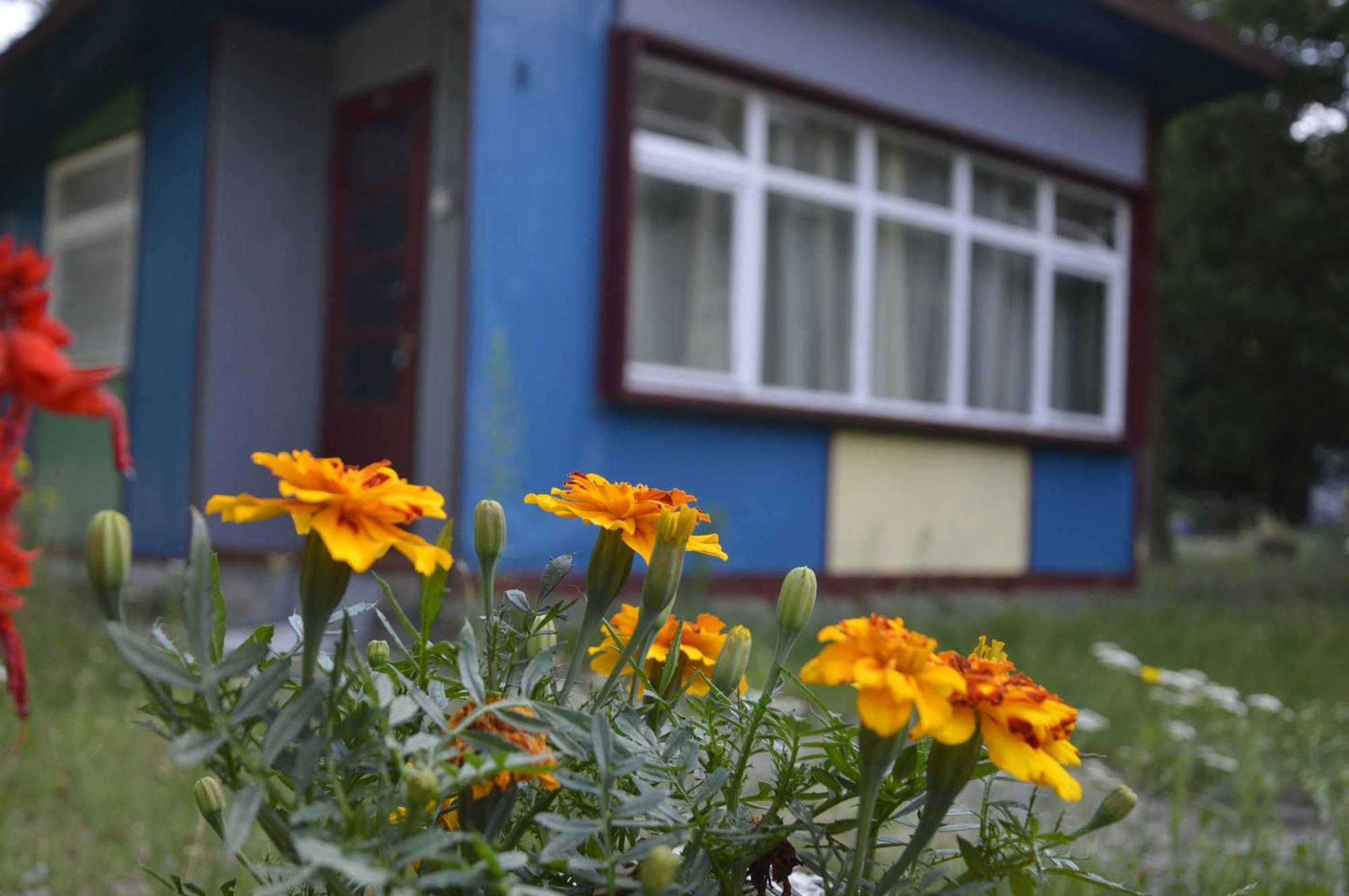 Domki Nad Pilica Krzetow Quarto foto